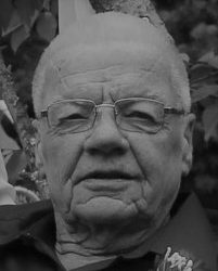 Robert Allen Koehler