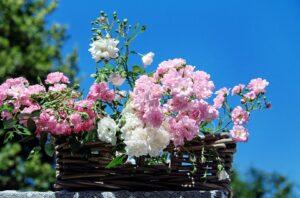 funeral homes in Pasco, WA