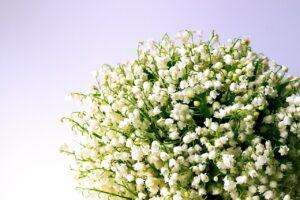 Funeral homes in West Richland, WA