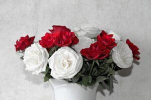 cremation services in Pasco, WA