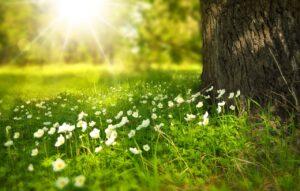 funeral homes in Richland, WA