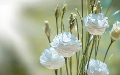 Steps To Take Around A Family Death