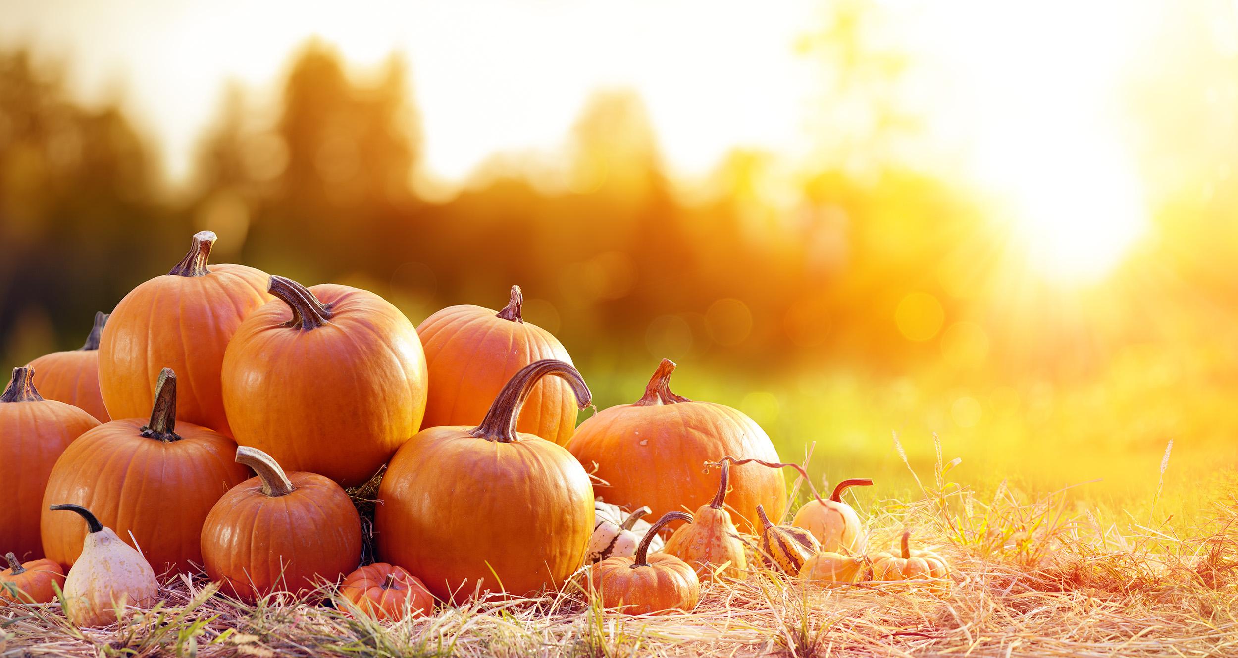 SG-events-pumpkin