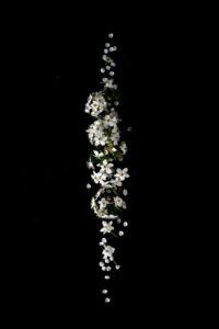 cremation services in Pasco, WA