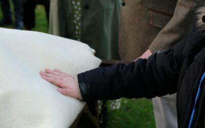 The Healing Power of a Cremation Memorial Ceremony