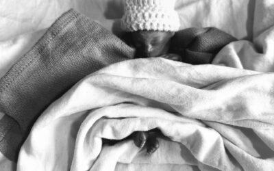 Nicholas Andrew Heldt